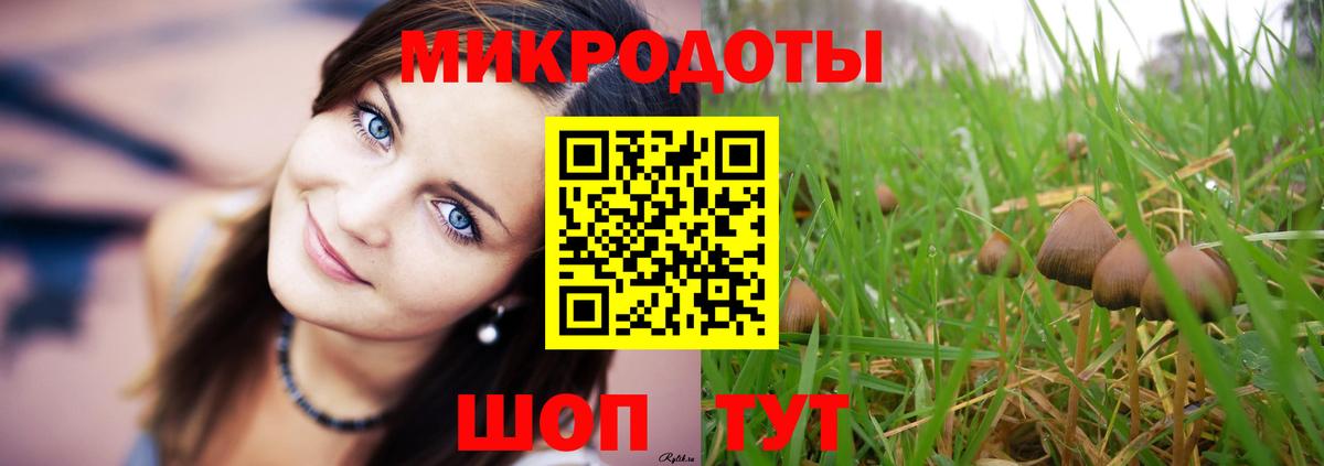 Галлюциногенные грибы прущие грибы  Вход с VPN  Камышин 