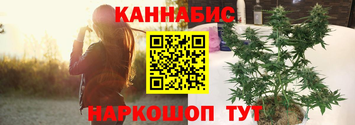 Шишки марихуана конопля  Вход с VPN  Бошки Шишки Bruce Banner  Камышин  Каннабис конопля 